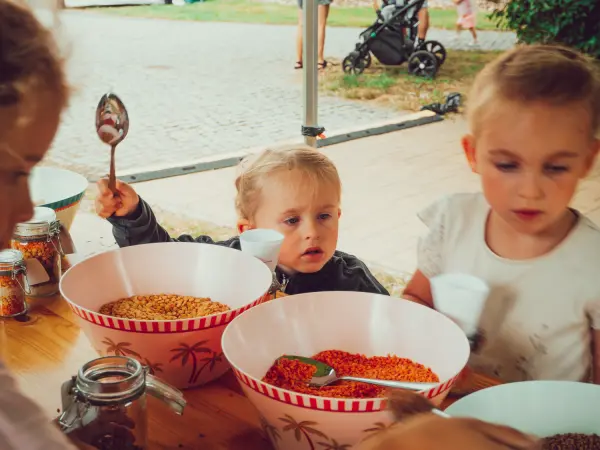 Food Festival 2026