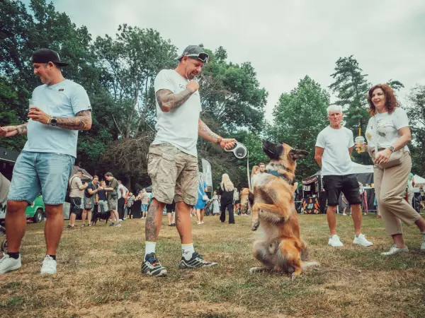 Food Festival 2026