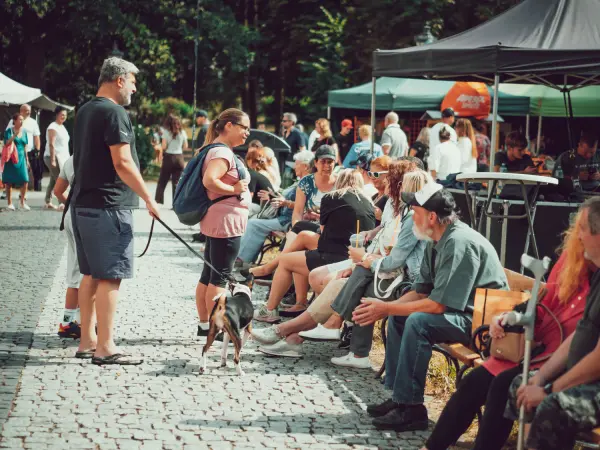 Food Festival 2026